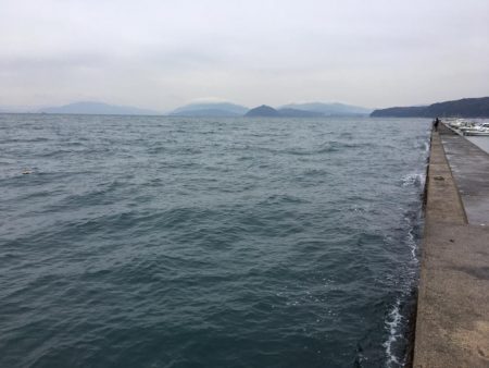 エギングとウキ釣り